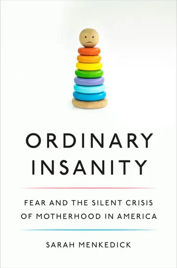 Cover of Ordinary Insanity