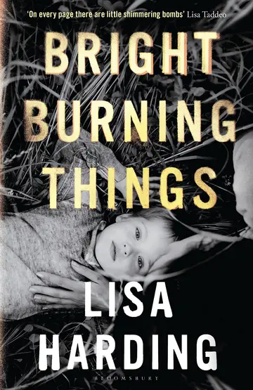 Cover of Bright Burning Things