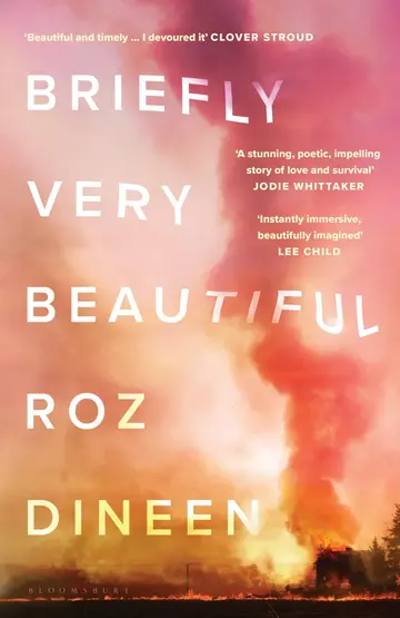 Cover of Briefly Very Beautiful
