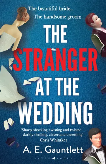 Cover of The Stranger at the Wedding