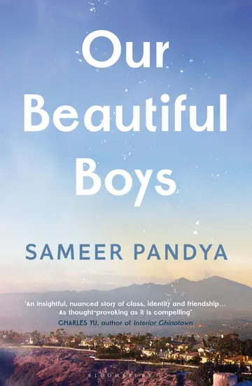 Cover of Our Beautiful Boys