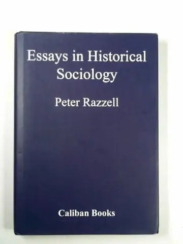 Cover of Essays in Historical Sociology