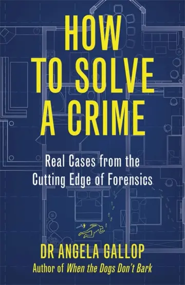 Cover of How to Solve a Crime