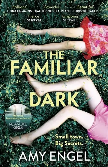 Cover of The Familiar Dark
