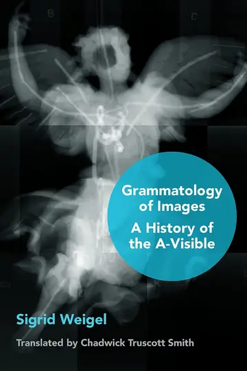 Cover of Grammatology of Images