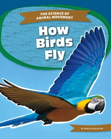 Cover of How Birds Fly