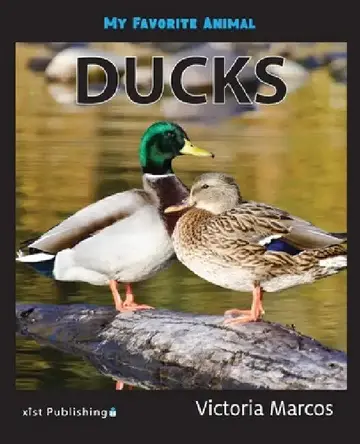Cover of My Favorite Animal