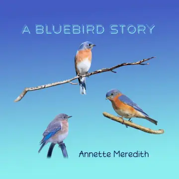 Cover of A Bluebird Story