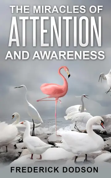 Cover of The Miracles of Attention and Awareness