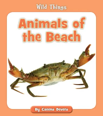 Cover of Animals of the Beach