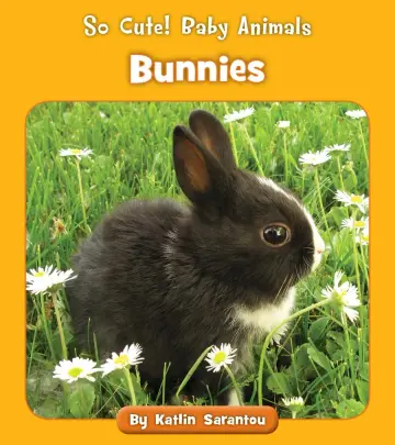 Cover of Bunnies