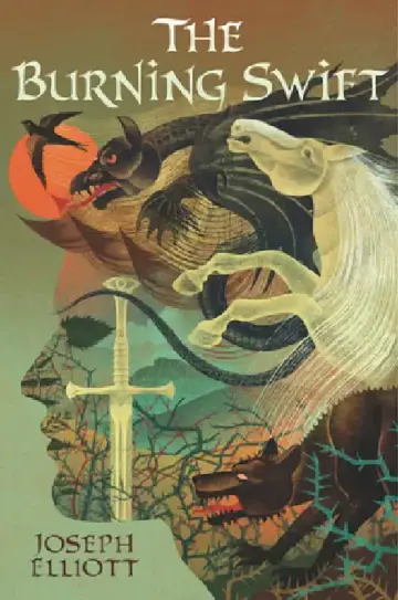 Cover of The Burning Swift