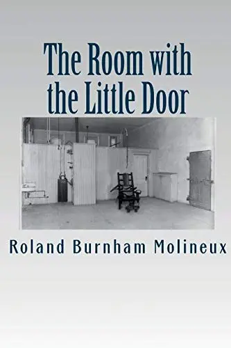 Cover of Room with the Little Door