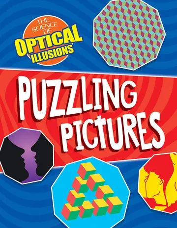 Cover of Puzzling Pictures