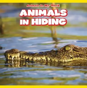 Cover of Animals in Hiding