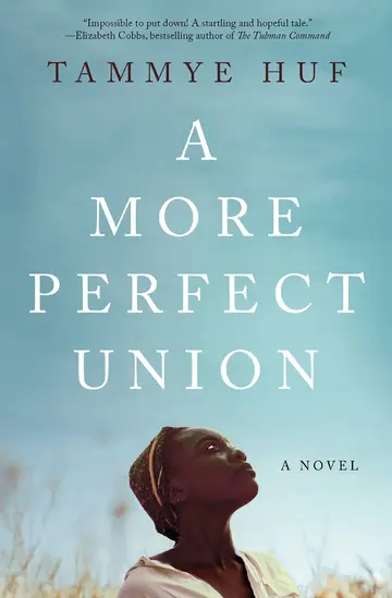 Cover of A More Perfect Union