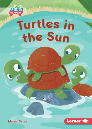 Cover of Turtles in the Sun