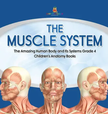 Cover of The Muscle System the Amazing Human Body and Its Systems Grade 4 Children's Anatomy Books