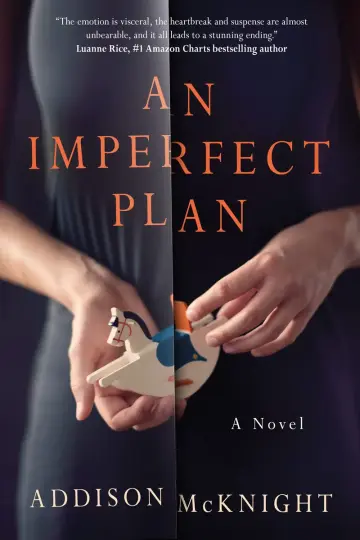 Cover of An Imperfect Plan