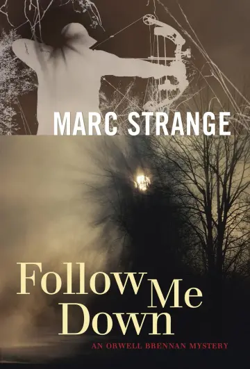 Cover of Follow Me Down