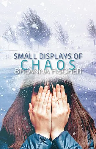 Cover of Small Displays of Chaos