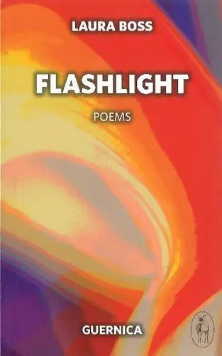 Cover of Flashlight