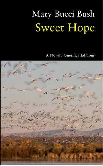 Cover of Sweet Hope