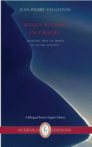 Cover of Wings Folded in Cracks