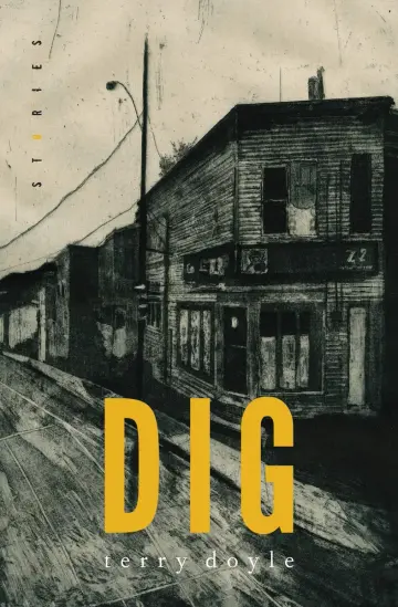 Cover of Dig