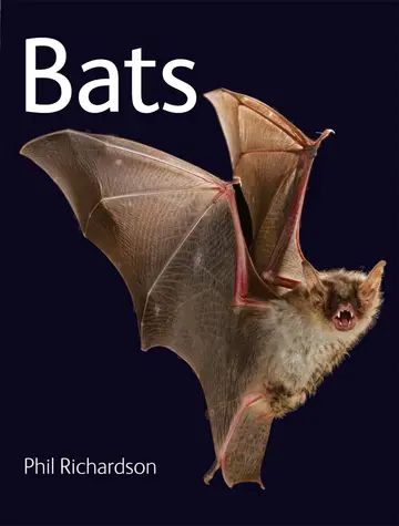 Cover of Bats
