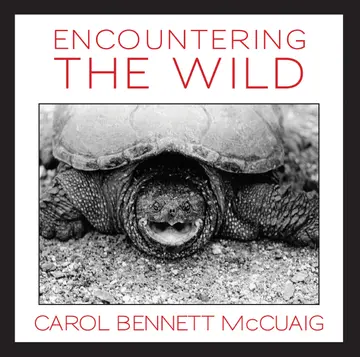 Cover of Encountering the Wild