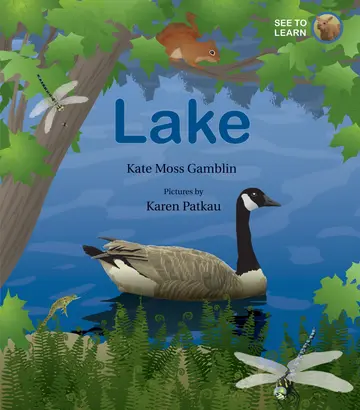 Cover of Lake