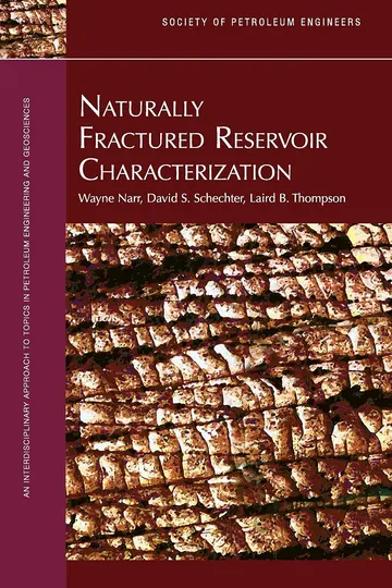 Cover of Naturally Fractured Reservoir Characterization