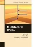 Cover of Multilateral Wells