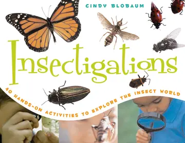 Cover of Insectigations