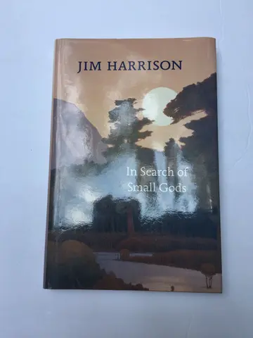 Cover of In Search of Small Gods