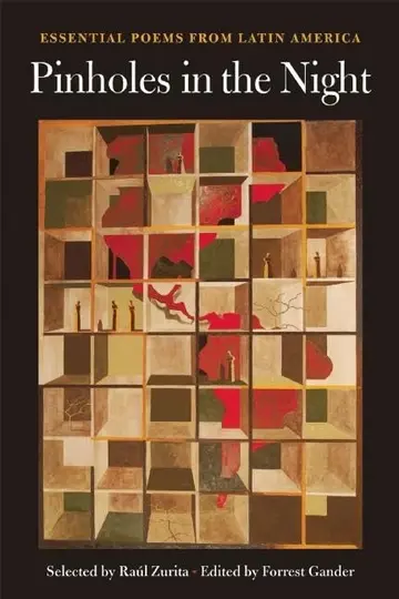 Cover of Pinholes in the Night