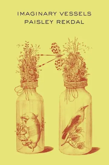 Cover of Imaginary Vessels