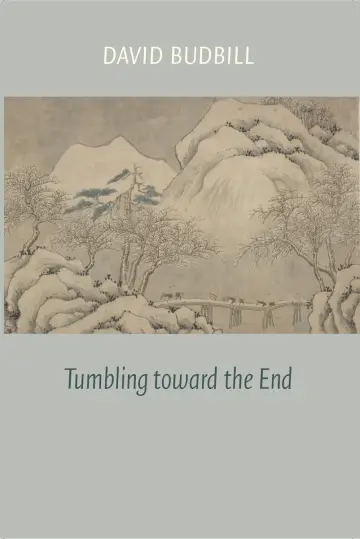Cover of Tumbling Toward the End