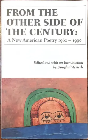 Cover of From the Other Side of the Century