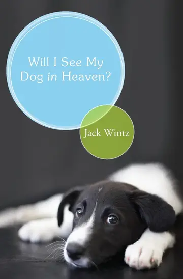 Cover of Will I See My Dog in Heaven?