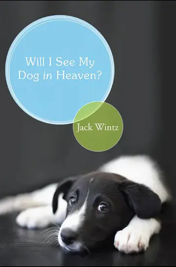 Cover of Will I See My Dog in Heaven