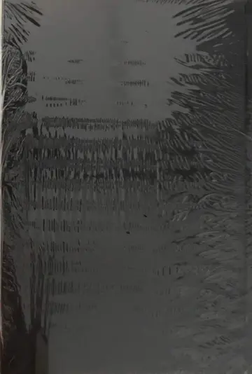 Cover of Reinterpreting Modern Culture