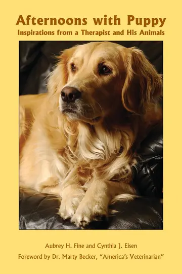 Cover of Afternoons with Puppy