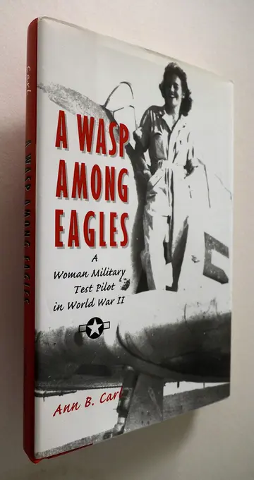 Cover of A Wasp Among Eagles
