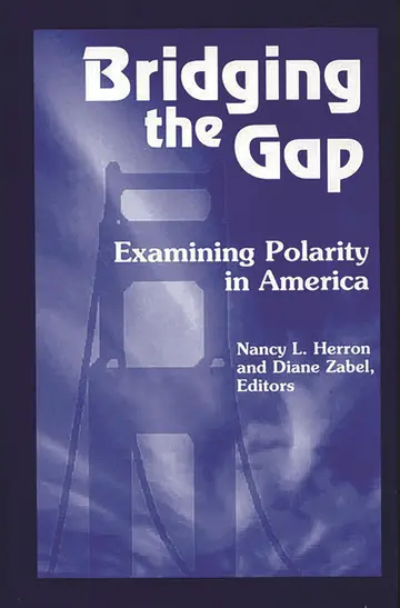 Cover of Bridging the Gap