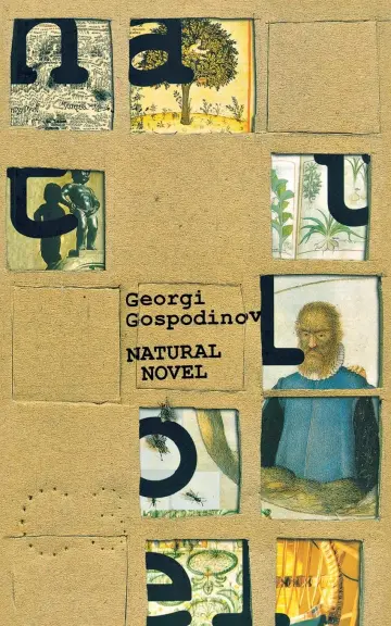 Cover of Natural Novel