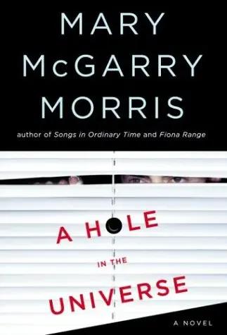 Cover of A Hole in the Universe