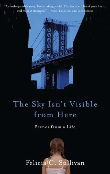Cover of The Sky Isn't Visible from Here