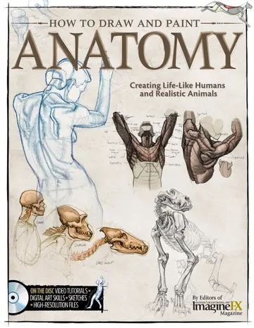 Cover of How to Draw and Paint Anatomy